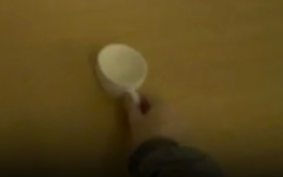 In-domain human demonstration, cup on saucer